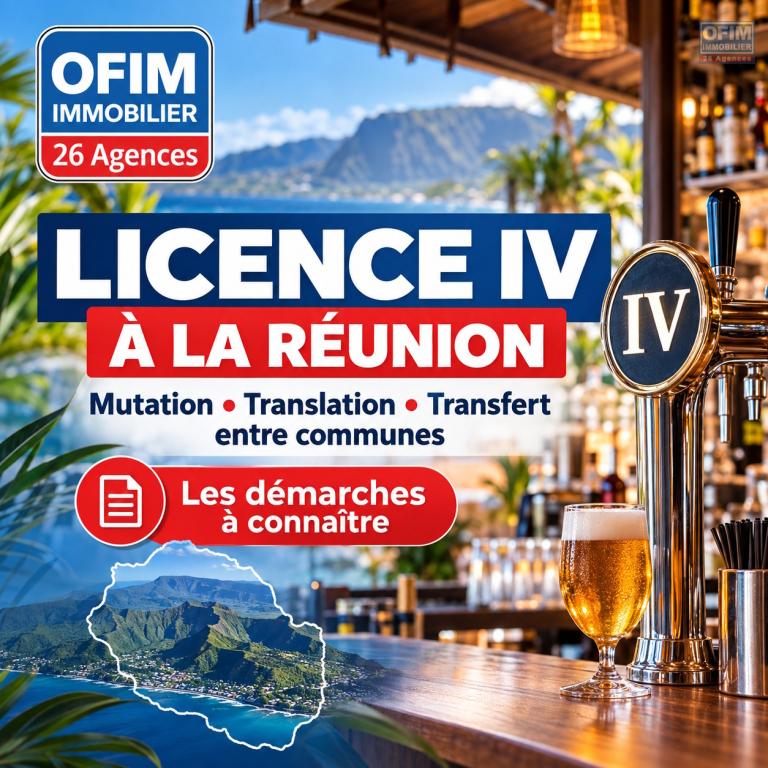 Licence IV &agrave; La R&eacute;union : un v&eacute;ritable atout pour votre commerce
