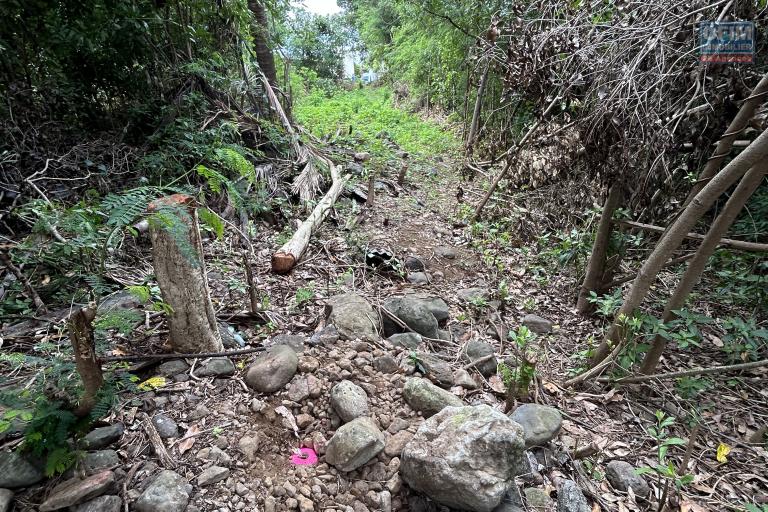 Beau terrain de 850 m2 secteur le Ouaki à La Rivière