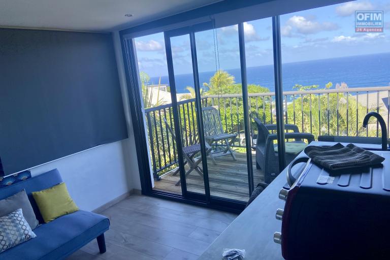 Belle villa  avec piscine 10 minutes CHU