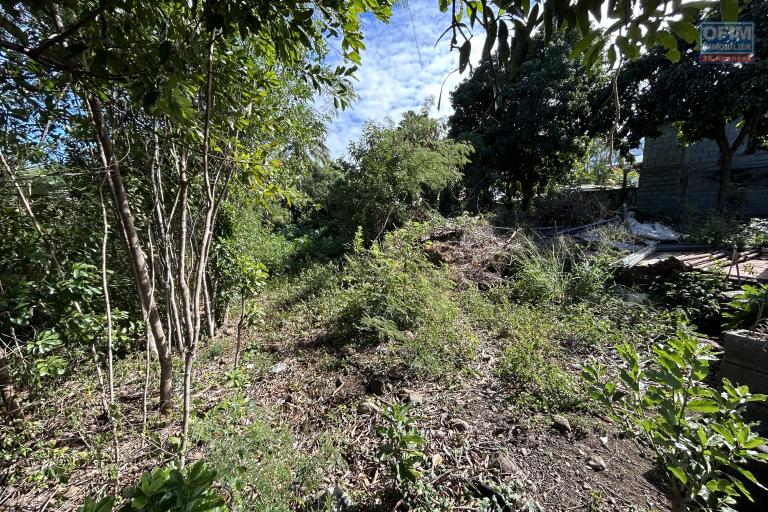 Beau terrain de 850 m2 secteur le Ouaki à La Rivière