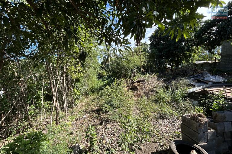 Beau terrain de 850 m2 secteur le Ouaki à La Rivière