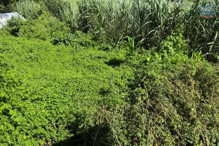 A vendre terrain avec vue mer secteur résidentiel à Mont vert les Bas