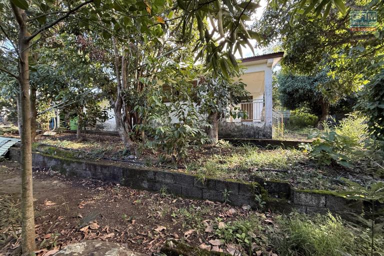 Maisons F3 + F5+ implantées sur 1260 m2 de terrain, en impasse et bord de ravine sans vis à vis.