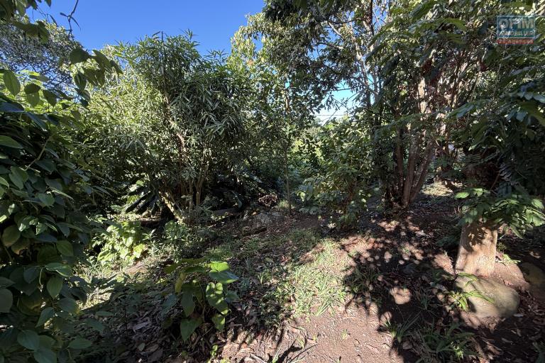 Maisons F3 + F5+ implantées sur 1260 m2 de terrain, en impasse et bord de ravine sans vis à vis.