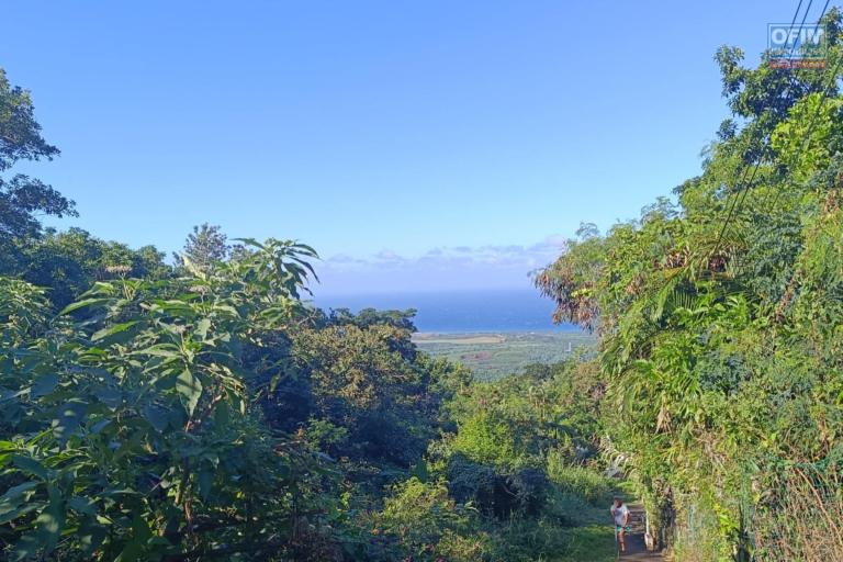 Terrain de 5462 m2 constructible aux Avirons avec une superbe vue sur le lagon