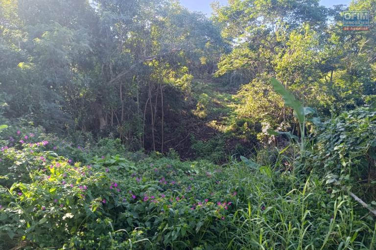 Terrain de 5462 m2 constructible aux Avirons avec une superbe vue sur le lagon