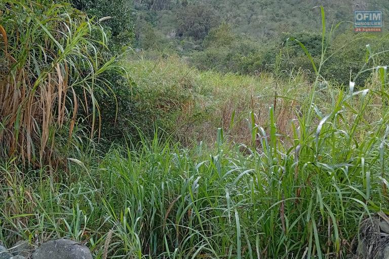 TERRAIN DE 500 M2 PALMISTE ROUGE