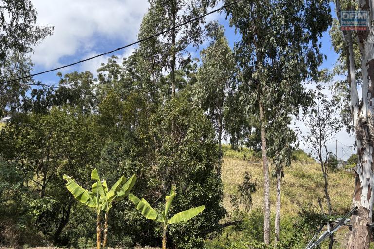 A vendre à Trois Bassins très beau terrain de 1431 m2