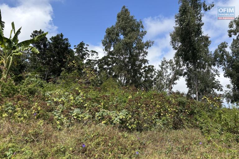 A vendre à Trois Bassins très beau terrain de 1431 m2