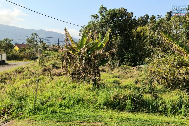 A Vendre parcelle de 641 m2 &agrave; La Plaine des Palmistes 100m2 constructible uniquement