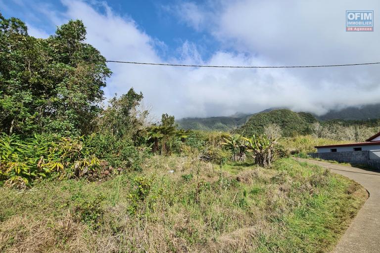 A Vendre parcelle de 641 m2 &agrave; La Plaine des Palmistes 100m2 constructible uniquement