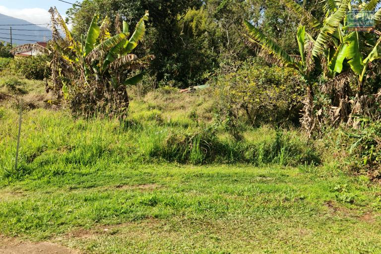 A Vendre parcelle de 641 m2 &agrave; La Plaine des Palmistes 100m2 constructible uniquement