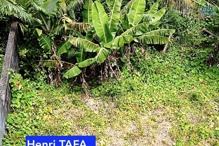 Maison F3 de 60 m2 sur terrain de 302 m2 - Jardin à l'arrière