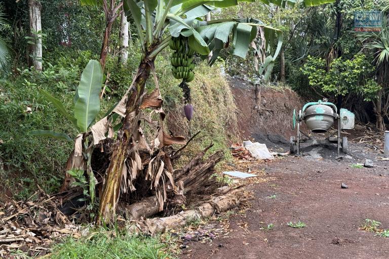 Terrain rectangle et plat de 328 m2 à 380 m d'altitude, pleine vue mer, à 2 minutes du centre ville.