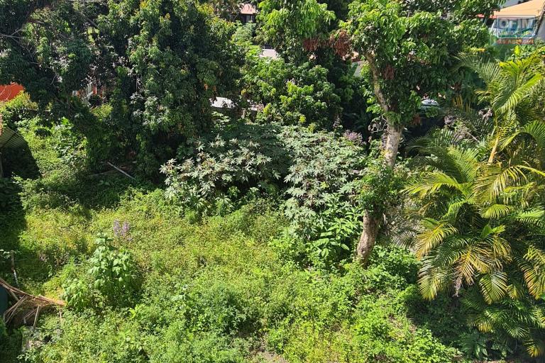 &agrave; lou&eacute; maison jumel&eacute;e avec 3 chambres, r&eacute;nov&eacute;e, grand jardin situ&eacute; &Agrave; BRAS CANOT/ ST BENOIT