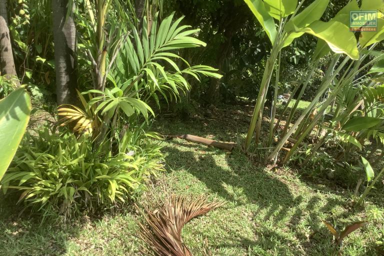 A vendre Terrain constructible avec une belle piscine - Au centre ville de la Possession.