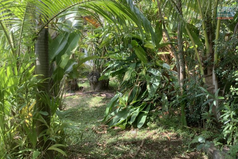 A vendre Terrain constructible avec une belle piscine - Au centre ville de la Possession.