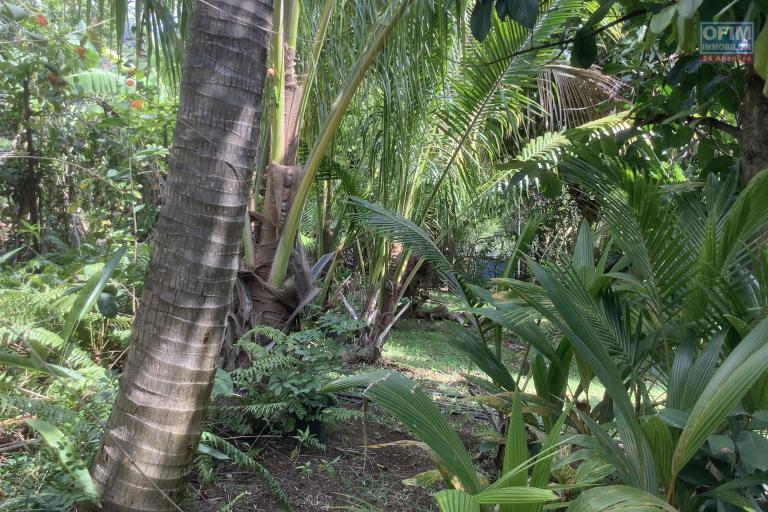 A vendre Terrain constructible avec une belle piscine - Au centre ville de la Possession.