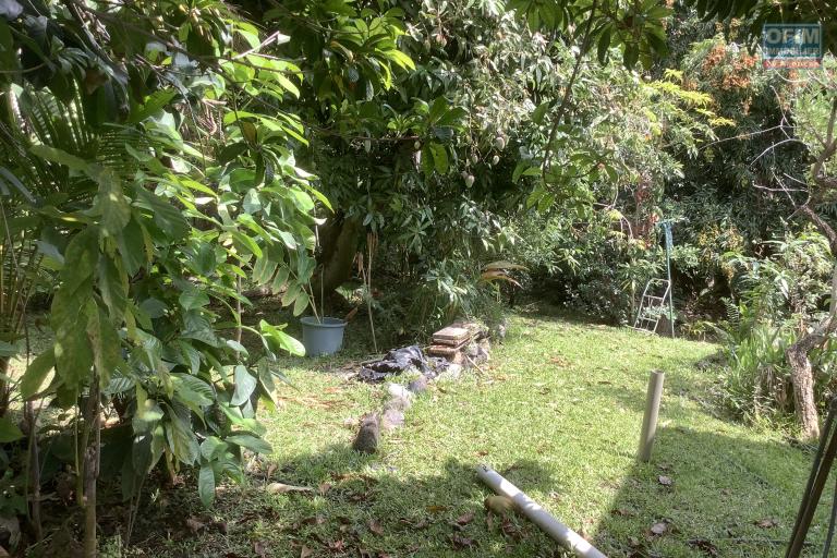 A vendre Terrain constructible avec une belle piscine - Au centre ville de la Possession.