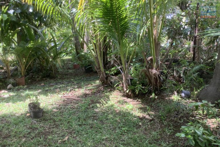 A vendre Terrain constructible avec une belle piscine - Au centre ville de la Possession.