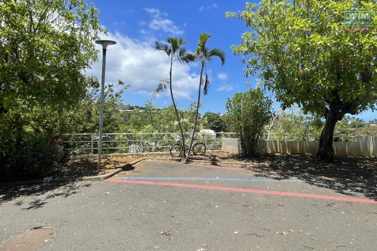  &Agrave; Vendre &ndash; Ensemble immobilier T2 + garage am&eacute;nag&eacute; en T2  &agrave; Saint Gilles les Bains (97434)