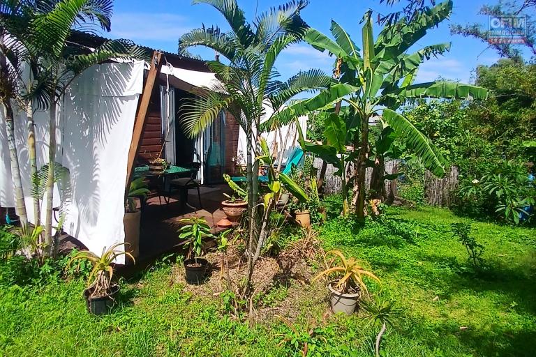 A LOUER Bungalow MEUBLE de type studio/F1 avec cour sur Saint-Gilles Les Hauts