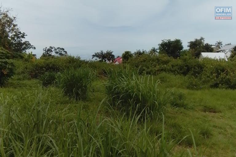 TERRAIN DE 7 690 m2 AU TAMPON BRAS CREUX