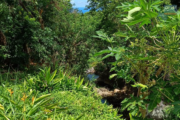 Magnifique maison bois de type F3+ plain pied, petite vue mer, bassins naturels, 470 m&sup2; de terrain