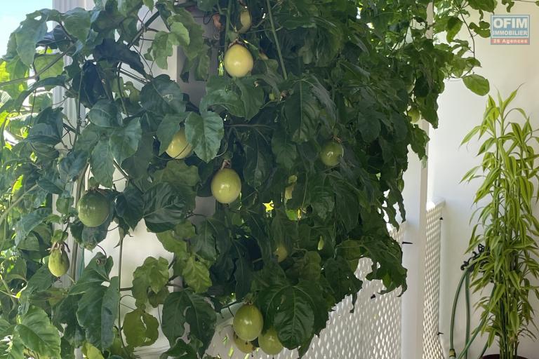 &Agrave; VENDRE &ndash; Maison F6 de 144 m&sup2; &ndash; BOIS DE N&Egrave;FLES SAINTE-CLOTILDE