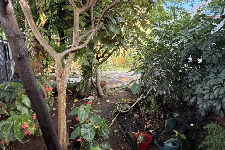 Belle maison F4+ en R+1 r&eacute;nov&eacute;e avec garage, varangues, piscine hors sol, cuisine d'&eacute;t&eacute;, jardin dans un quartier calme &agrave; 200 m d'altitude au centre de la Ravine des Cabris.