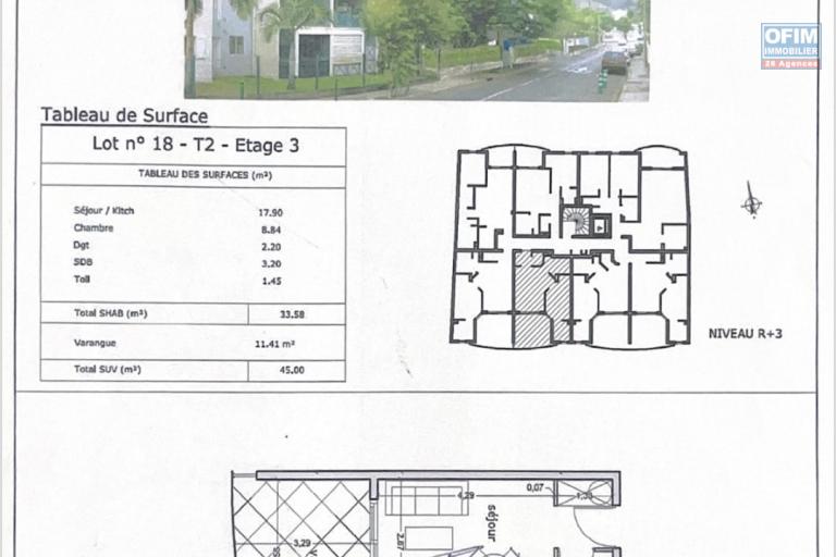 T2 avec grande terrasse et vue montagne - Proche centre-ville de Saint-Denis