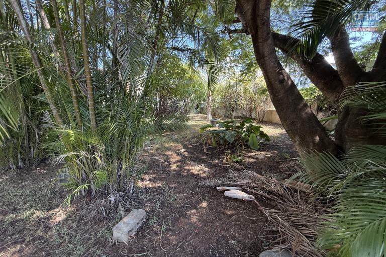 Grande et belle maison bois rénovée, des années 1800, F5+ plain-pied de 140 m² habitables + 40 m² de varangue + deux petites maisons, 2 garages, le tout implanté sur un terrain plat de 912 m²