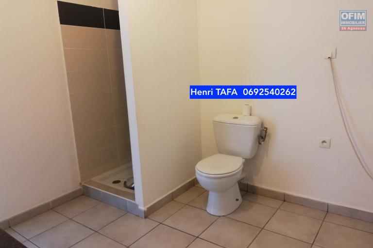 Beau et grand studio de 3,97 m2 libre de toute occupation et vue mer