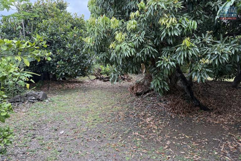 Belle parcelle de terrain plat et arbor&eacute; de 476 m&sup2; situ&eacute; &agrave; 180 m d'altitude au fond d'une petite impasse &agrave; La Ravine des Cabris proche du centre ville.