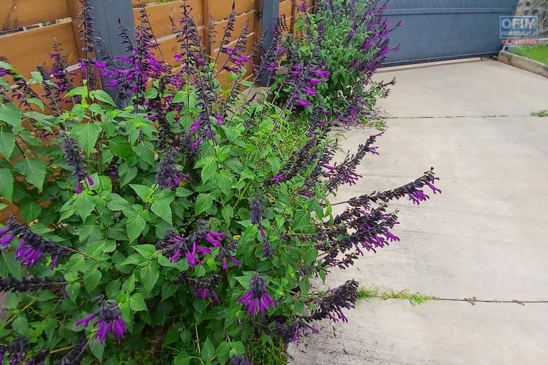 A LOUER superbe maison à étage de type F4 sur la Saline Les Hauts