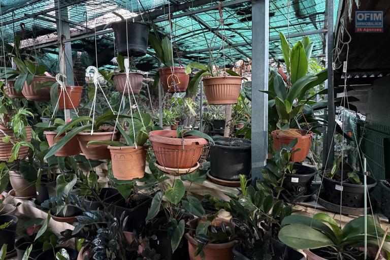 Terrain de 598 m&sup2; bien plac&eacute; en hypercentre de St Pierre en zone UD