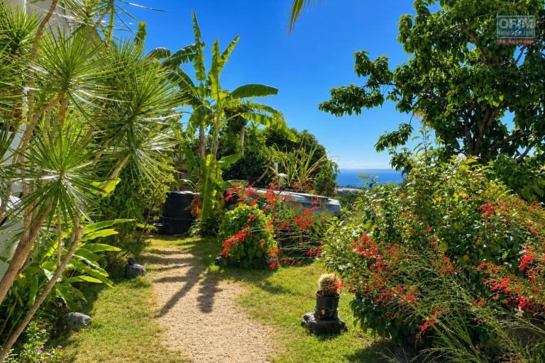 À VENDRE À PLATEAU CAILLOU – MAISON FAMILIALE F4 AVEC STUDIO INDÉPENDANT, VUE MER ET MONTAGNE - Jardin