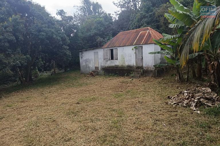 Superbe Terrain de 1268 m2 en zone UA proche centre ville Tampon