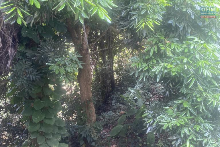 Vente Maison / Villa POSSESSION – photo 8 sur 14 – Jardin arboré