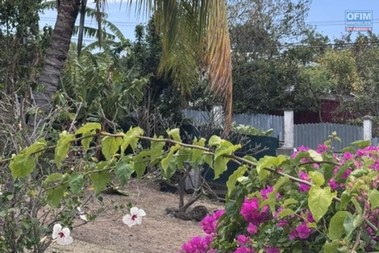 Location Maison / Villa SAINTE CLOTILDE – photo 7 sur 45 – Jardin arboré