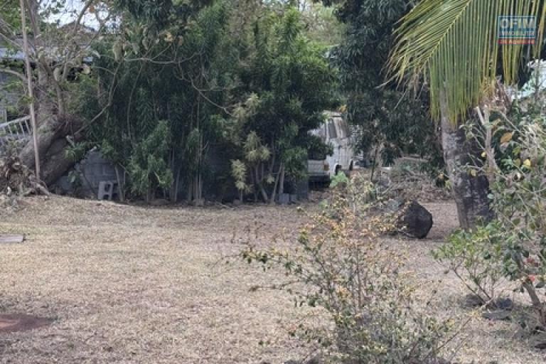 Location Maison / Villa SAINTE CLOTILDE – photo 9 sur 45 – Jardin arboré