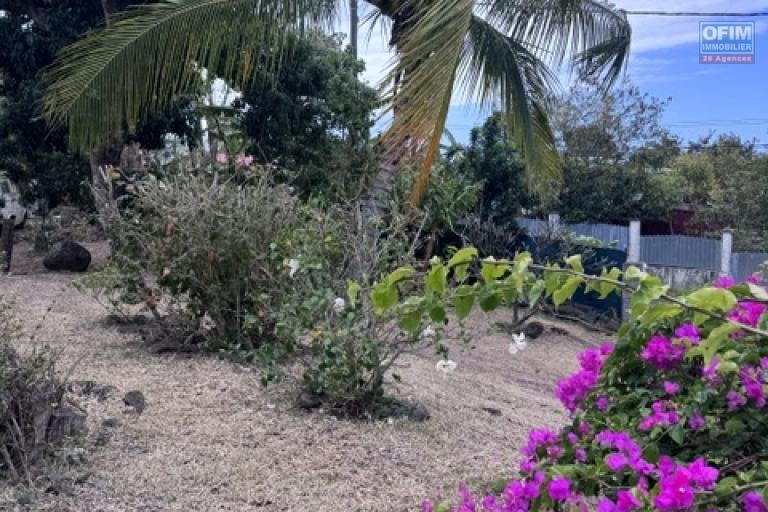 Location Maison / Villa SAINTE CLOTILDE – photo 11 sur 45 – Jardin arboré