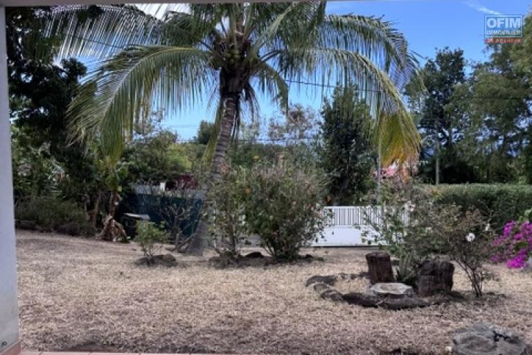 Location Maison / Villa SAINTE CLOTILDE – photo 19 sur 45 – Jardin arboré