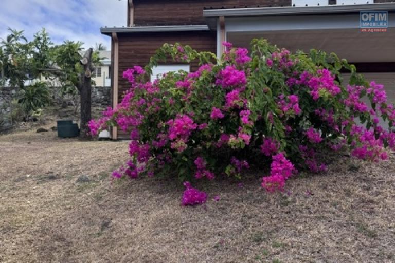 Location Maison / Villa SAINTE CLOTILDE – photo 23 sur 45 – Jardin arboré