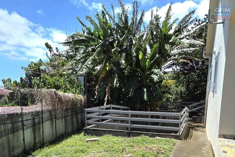 Location Maison / Villa SAINTE MARIE – photo 9 sur 12 – Jardin arboré