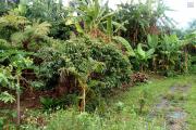 Terrain constructible de 1200 m², vue mer, la Chaloupe St Leu.