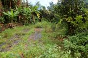 Terrain plat constructible de 460 m², la Chaloupe st Leu.