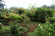 Terrain plat constructible de 460 m², la Chaloupe st Leu.