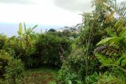 Terrain plat constructible de 460 m², la Chaloupe st Leu.