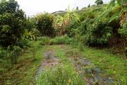 Terrain plat constructible de 460 m², la Chaloupe st Leu.